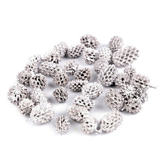 Casuarina Zapfen weiß 25g