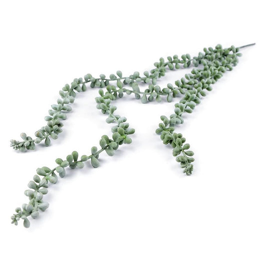 Succulent tendril 75cm
