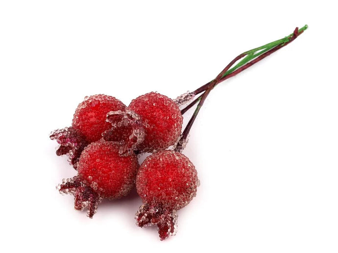 Rose hips individually in dew 10 pieces