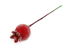 Load image into Gallery viewer, Rose hips individually in dew 10 pieces
