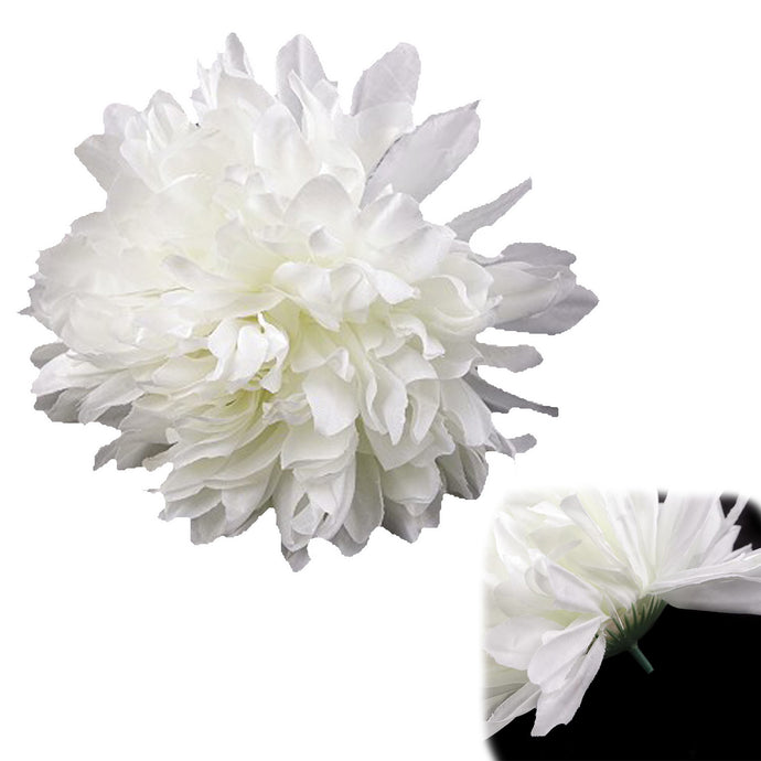 Chrysanthemum flower head D15cm