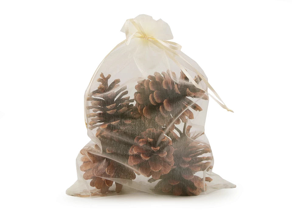 Pine cones set of 6