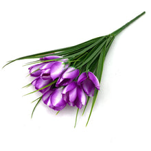 Load image into Gallery viewer, Crocus Bunch in White &amp; Purple

