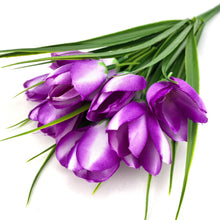 Load image into Gallery viewer, Crocus Bunch in White &amp; Purple
