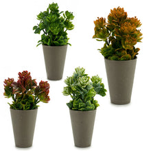 Load image into Gallery viewer, Artificial succulent plant 24cm
