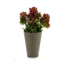 Load image into Gallery viewer, Artificial succulent plant 24cm
