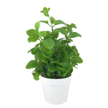 Load image into Gallery viewer, Artificial herbs 29cm
