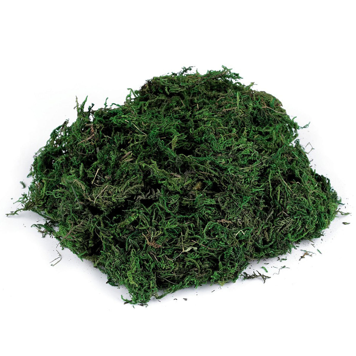 Naturmoos Moos luftgetrocknet 40g – Patjess