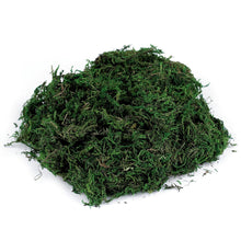 Load image into Gallery viewer, Natural moss air-dried 40g
