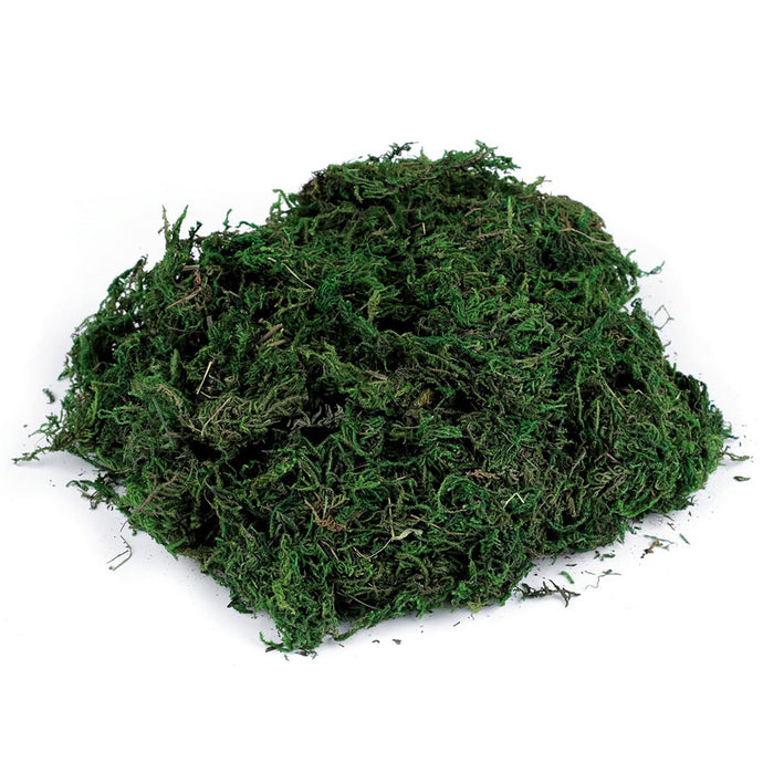 Natural moss air-dried 40g