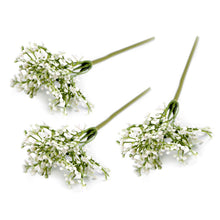 Load image into Gallery viewer, Gypsophila White 3 pack
