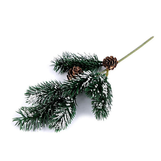 Spruce/fir branch with cones &amp; snow