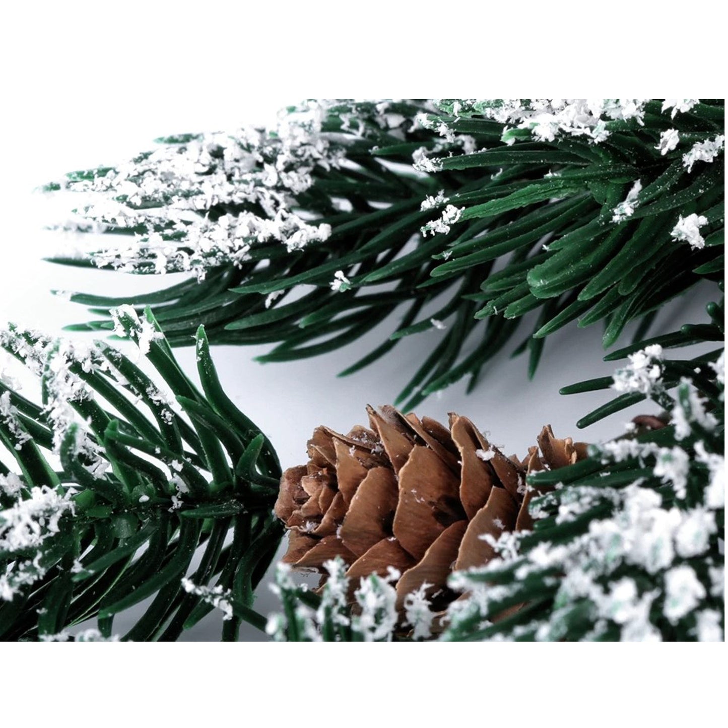 Spruce/fir branch with cones &amp; snow