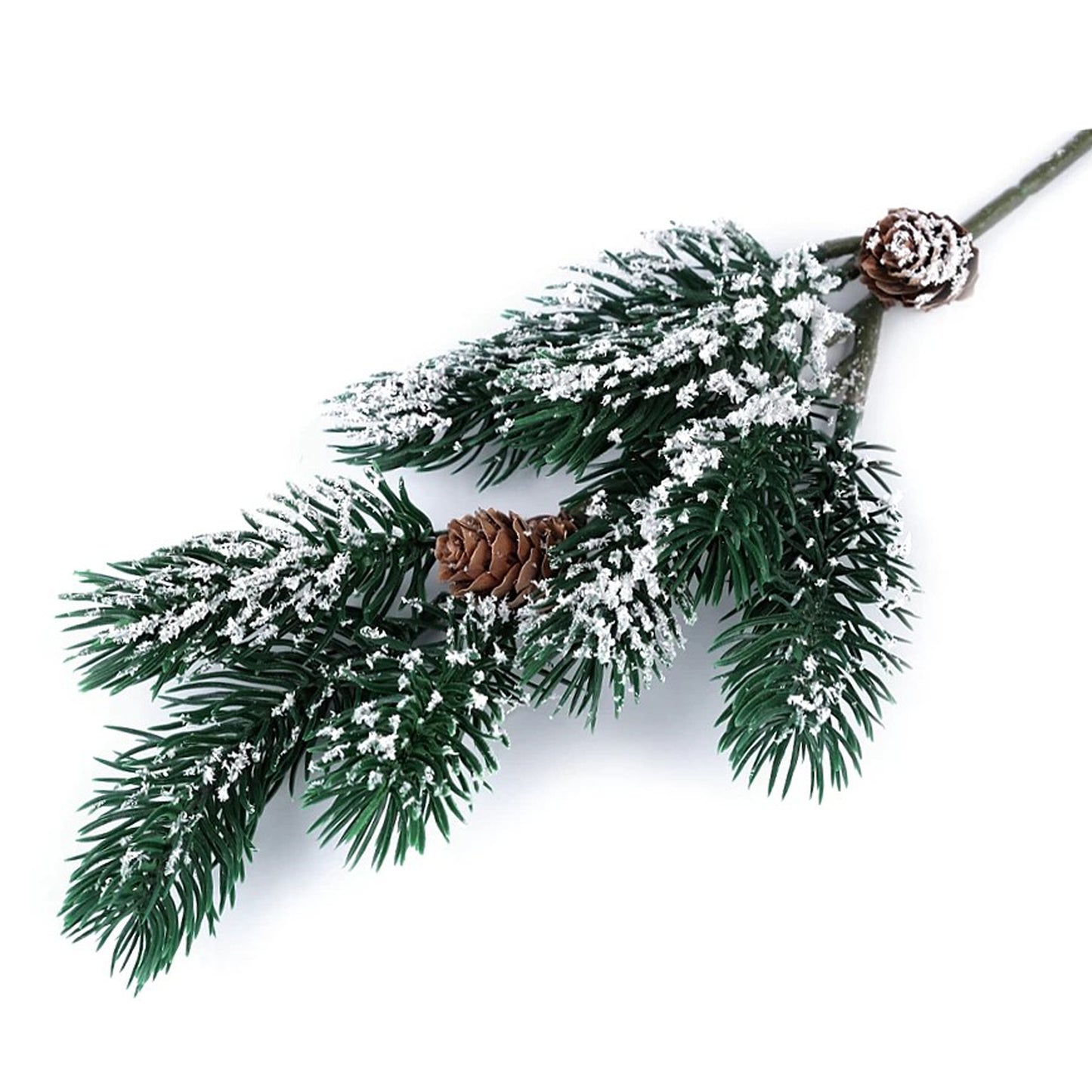 Spruce/fir branch with cones &amp; snow