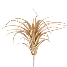Load image into Gallery viewer, Tillandsia Pick gold - Patjess
