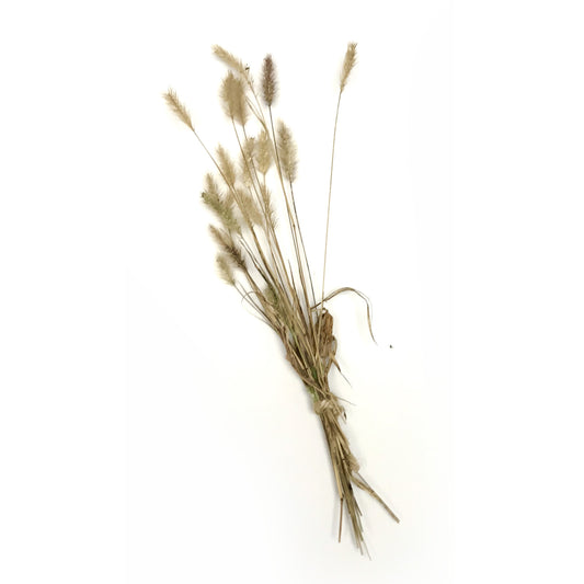 Dried flowers country grass mini