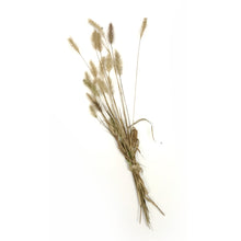 Load image into Gallery viewer, Dried flowers country grass mini

