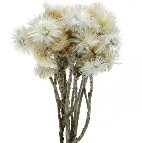 Cap flowers bundle 50g