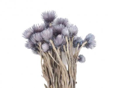 Cap flowers bundle 50g