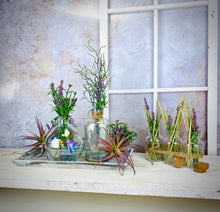 Load image into Gallery viewer, Tillandsia pick green purple
